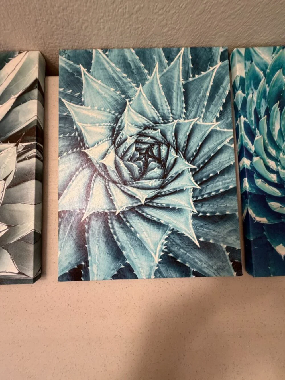 3-Piece Agave Botanical Succulent Wrapped Canvas Wall Art Set